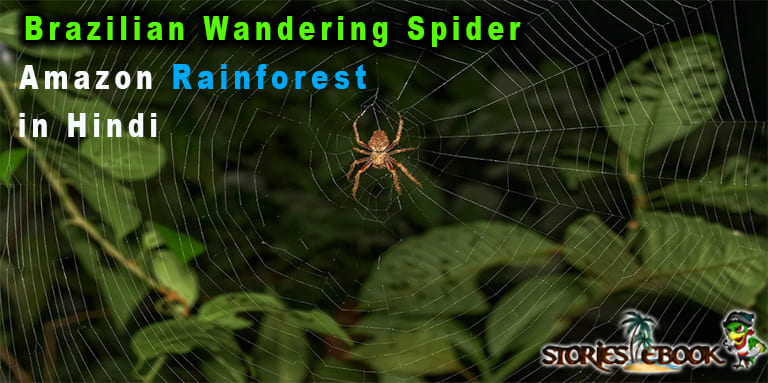 Brazilian Wandering Spider amazon rainforest insects in hindi - storiesebook