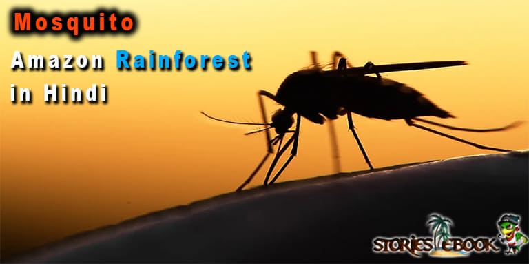 Mosquito amazon rainforest insects in hindi - storiesebook