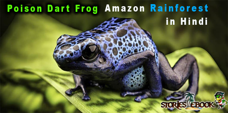 Poison Dart Frog amazon rainforest insects in hindi - storiesebook