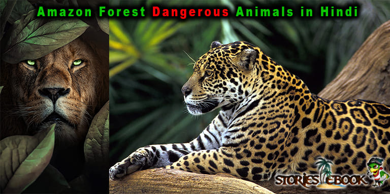 amazon Jungle के जंगली जानवर Amazon Forest dangerous animals in Hindi - storiesebook.com