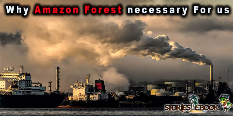 amazon Jungle के महत्व Why Amazon Forest necessary for us in Hindi - storiesebook.com