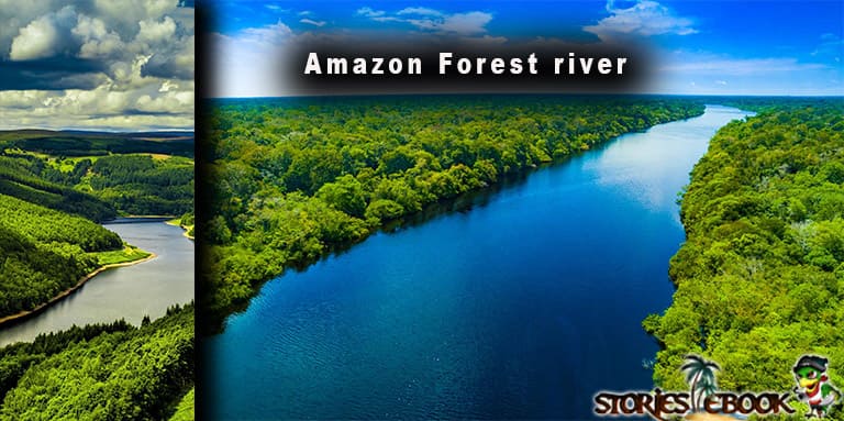 amazon Jungle में नदियों की संख्या कितनी है Amazon Forest river in Hindi - storiesebook.com